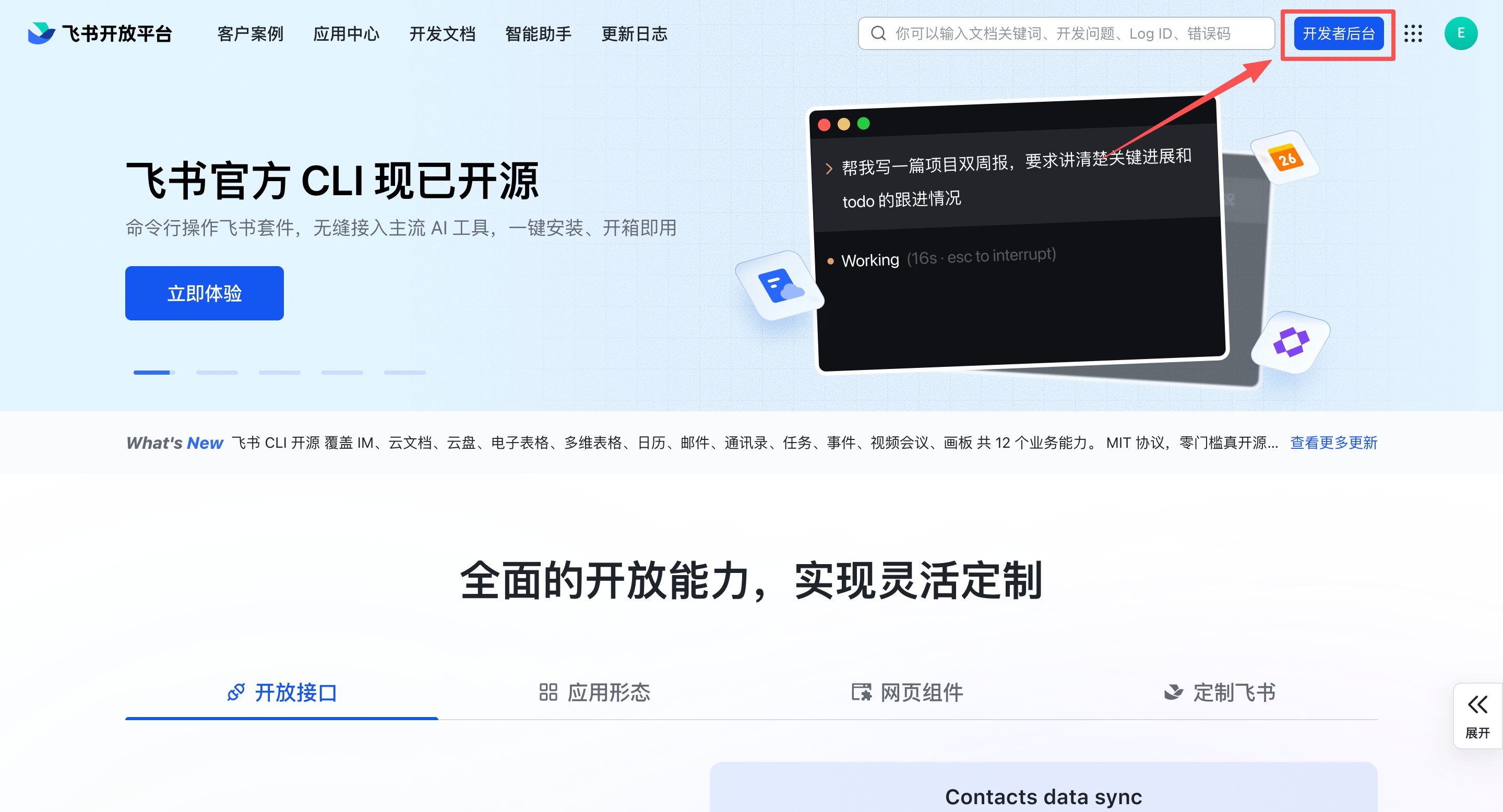 Back on the Feishu Open Platform — click Developer Console in the top-right corner